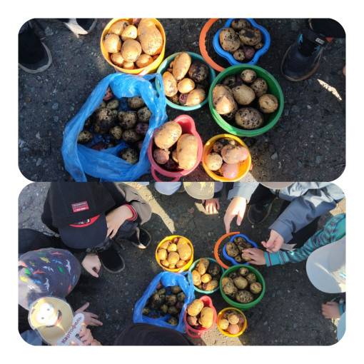Осенние хлопоты.